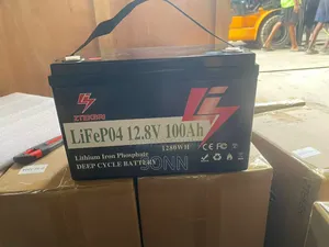 12.8v Lifepo4 Lithium Iron Phosphate Deep Cycle Battery