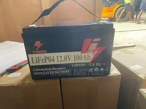 Ztekbri 12 v 100ah Lifepo4 Lithium Iron Phosphate Deep Cycle Battery