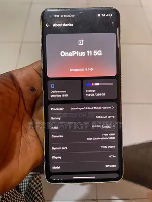 OnePlus 11 256 GB Gray