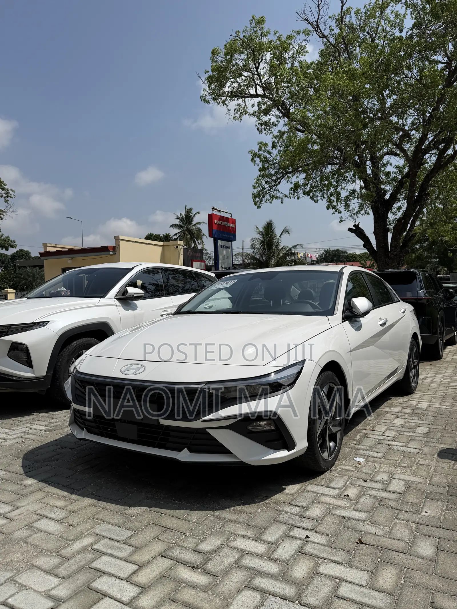 New Hyundai Elantra 2024 White
