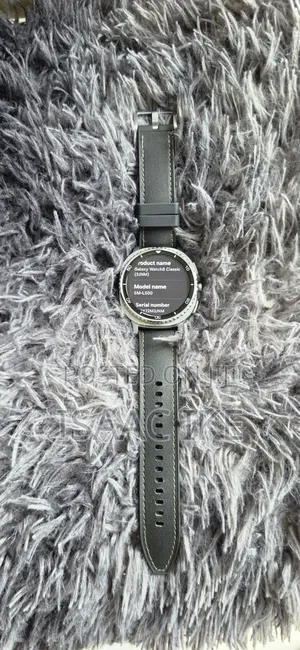 Galaxy Watch 8 Classic