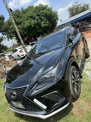 Lexus NX 300 AWD 2019 Black