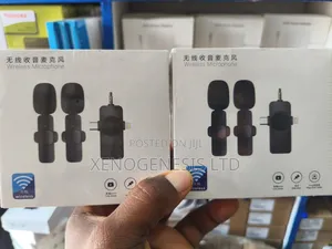 Double Wireless Microphone