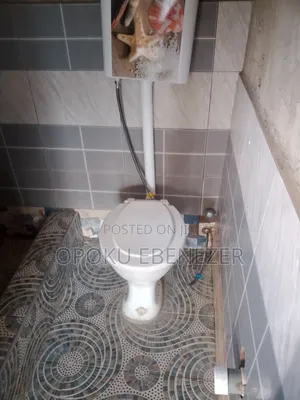 Mini Flat in Aputuogya Nkwanta, Bosomtwe for rent