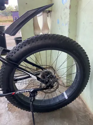 Fat Tire Bike