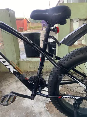 Fat Tire Bike