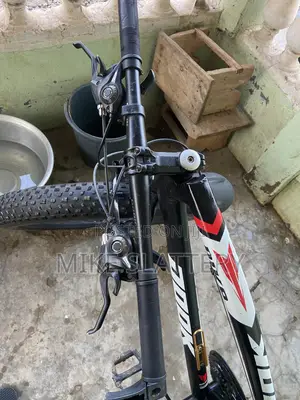 Fat Tire Bike