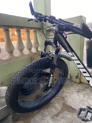 Fat Tire Bike