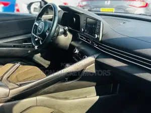Hyundai Elantra Limited 2021 Gray
