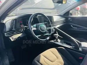 Hyundai Elantra Limited 2021 Gray