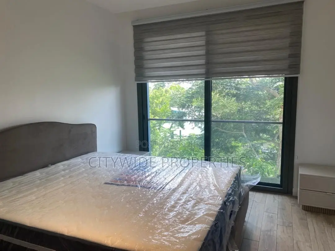 Furnished 2bdrm Apartment in Cantonments, US Embassy Area for sale