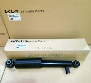 Santa Fe 13-18/Sorento 14-15 Original Back Shocks From Usa