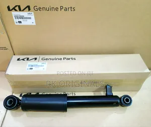 Santa Fe 13-18/Sorento 14-15 Original Back Shocks From Usa