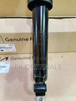 Santa Fe 13-18/Sorento 14-15 Original Back Shocks From Usa