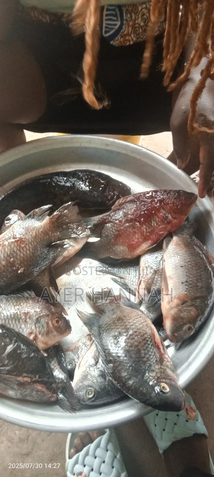 Hanny's Fresh Fish