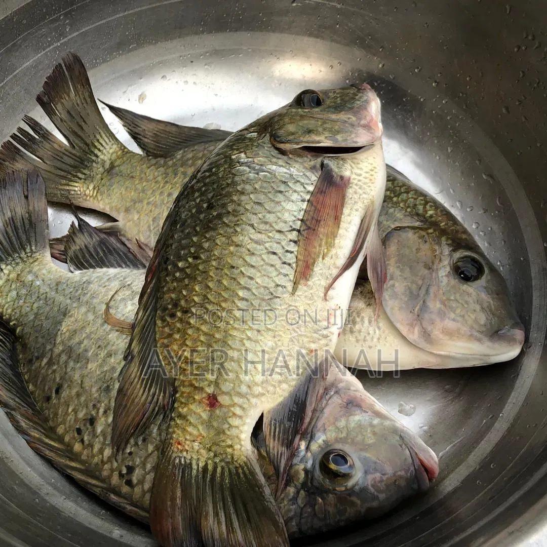 Hanny's Fresh Fish