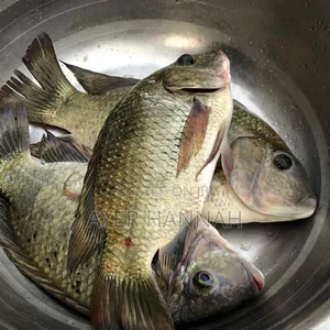 Hanny's Fresh Fish