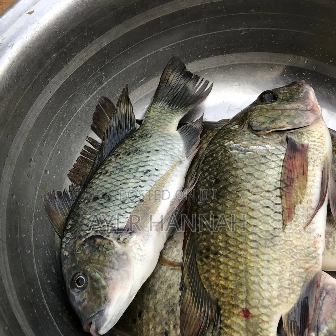 Hanny's Fresh Fish