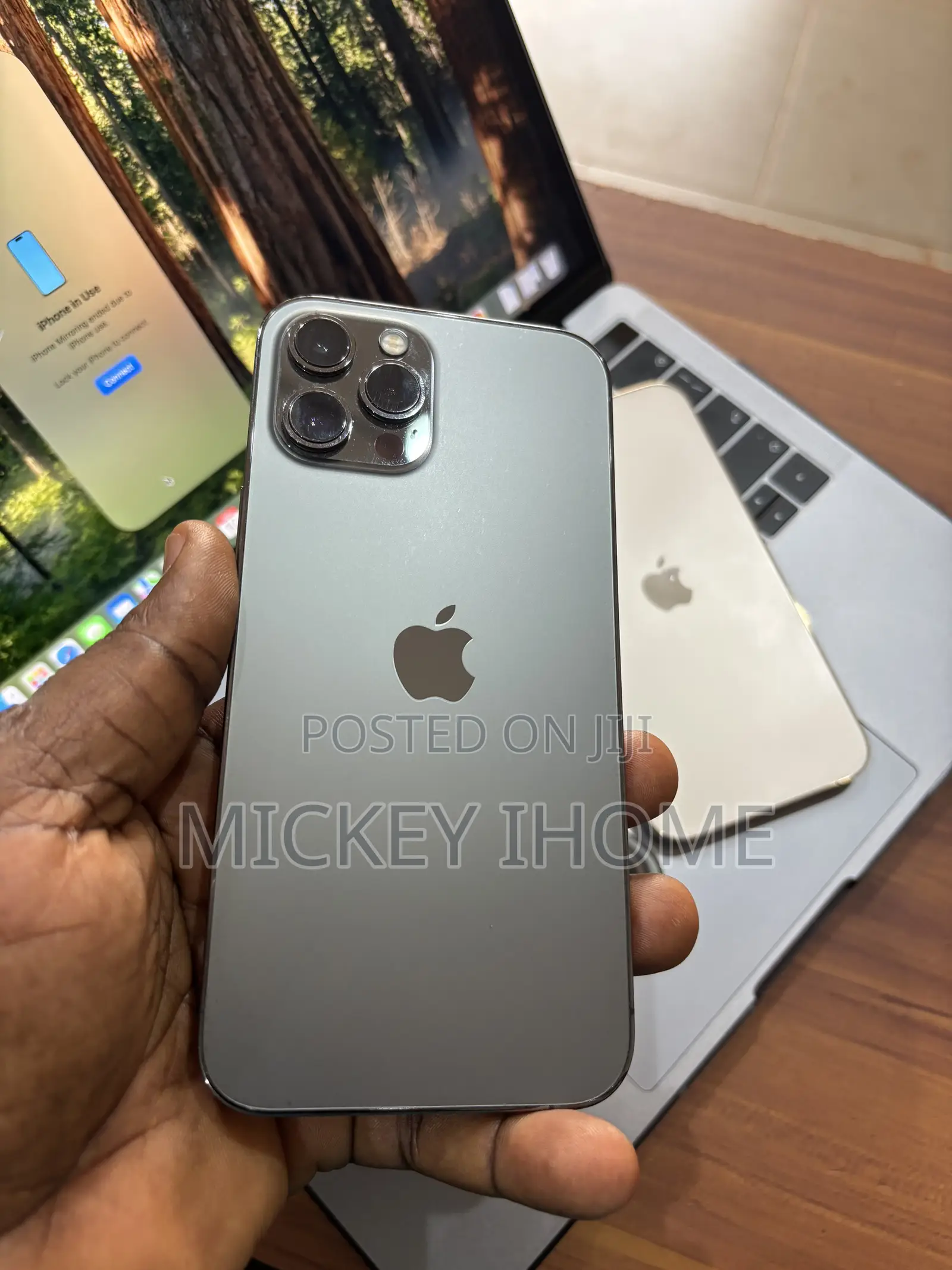 Apple iPhone 12 Pro Max 128 GB Gray