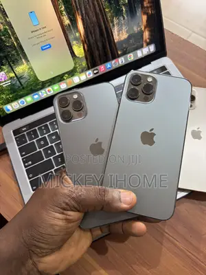 Apple iPhone 12 Pro Max 128 GB Gray