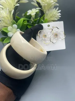 Acrylic Bangle Set With Matching Earrings – 2 Bangles Set