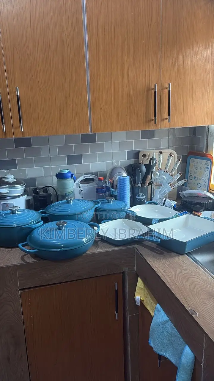 Brand New Cast Iron Pot