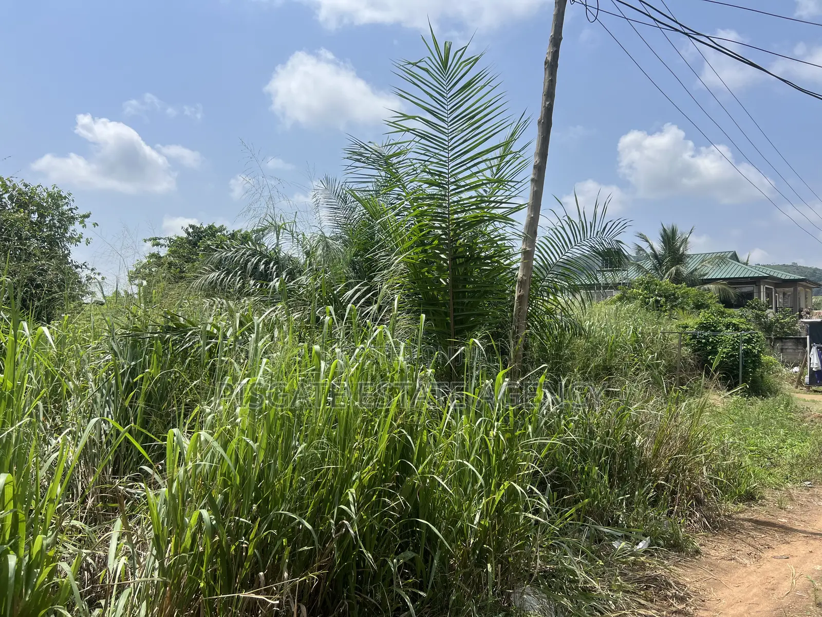 Land at Amasaman Dobro Near Blue Skies