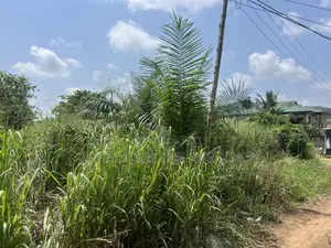 Land at Amasaman Dobro Near Blue Skies