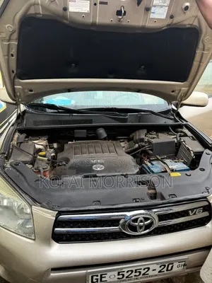 Toyota RAV4 Limited V6 2008 Brown