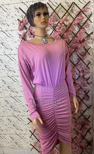 New Ladies Ruched Pink Dress With a Long Sleeve