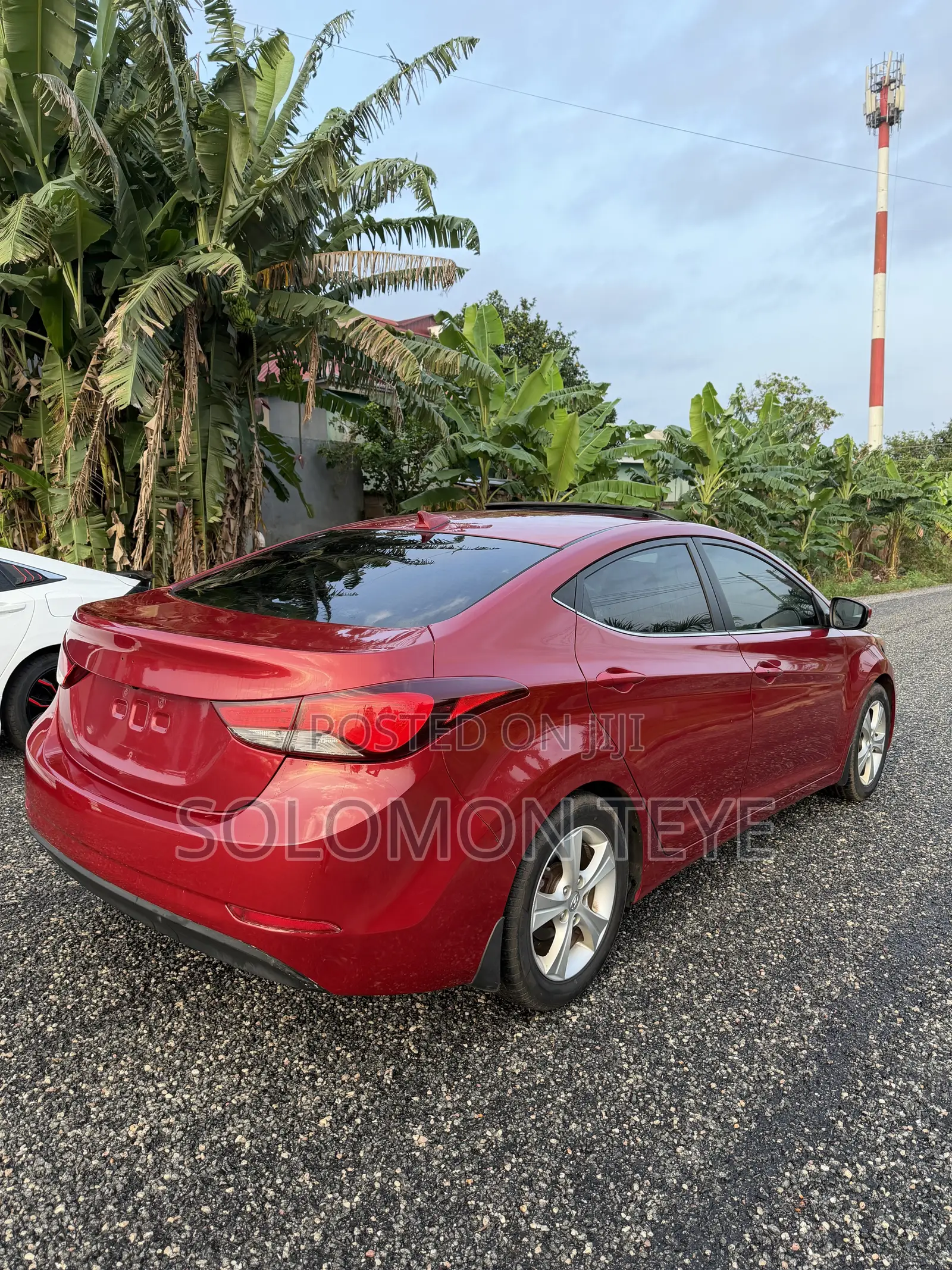 Hyundai Elantra Limited Sedan FWD (1.8L 4cyl 6A) 2016 Red