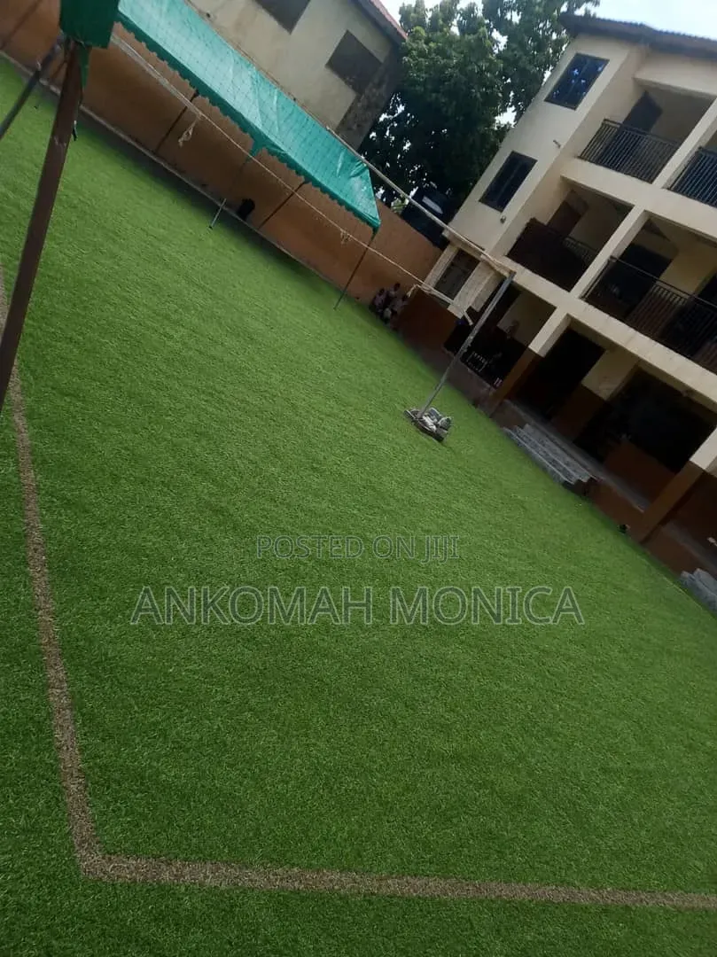 Artificial Carpet Grass For Renting.