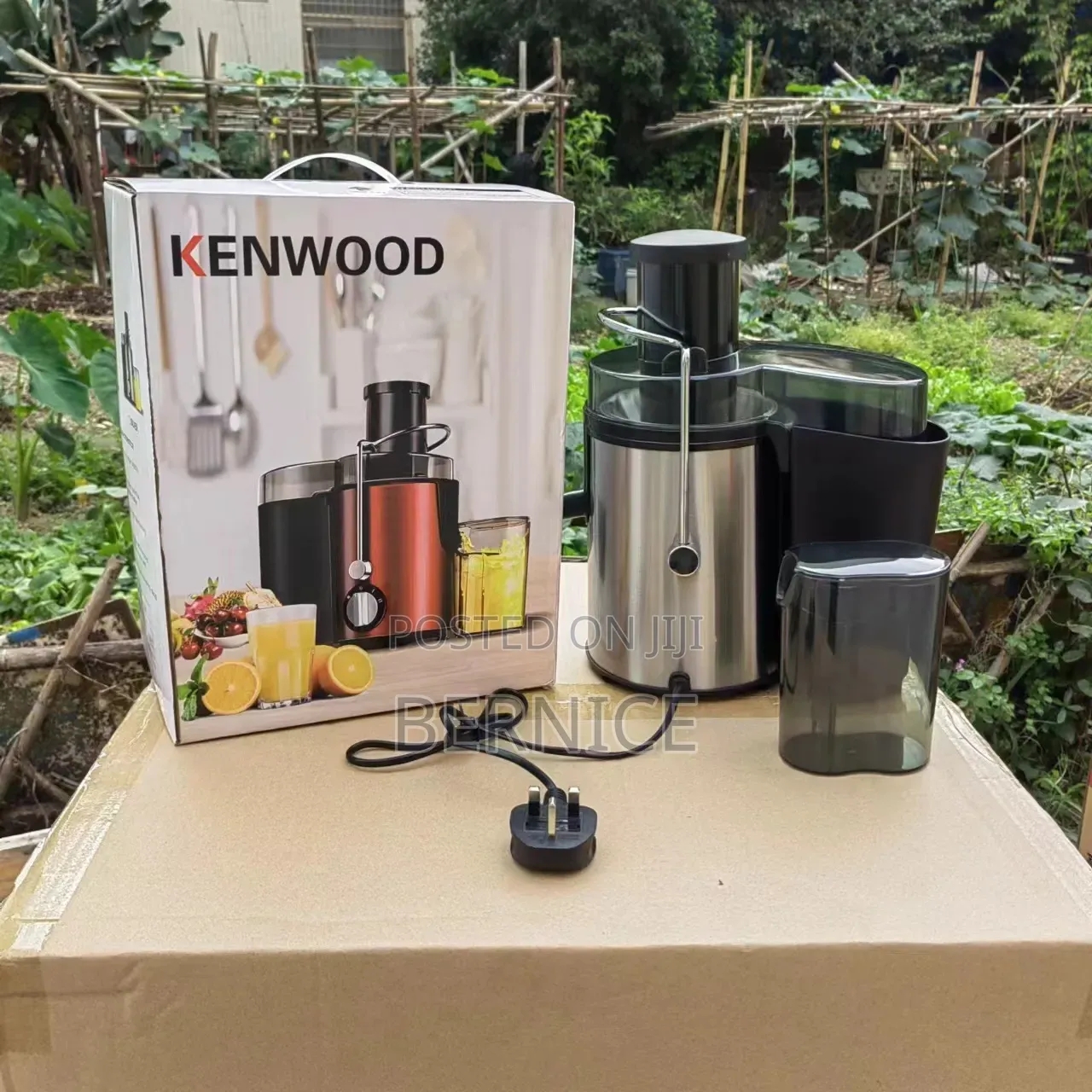 Fruit Juicer