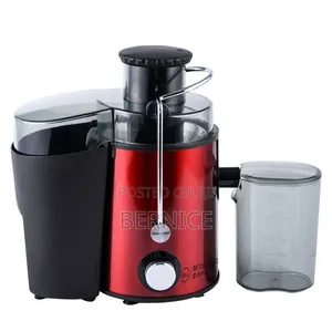 Fruit Juicer