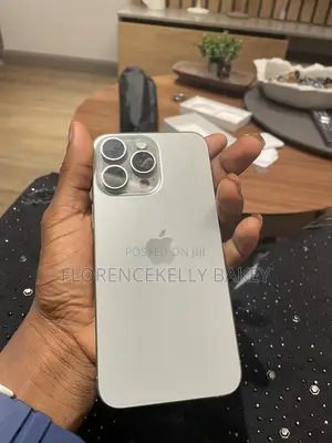 Apple iPhone 15 Pro Max 256 GB Gray