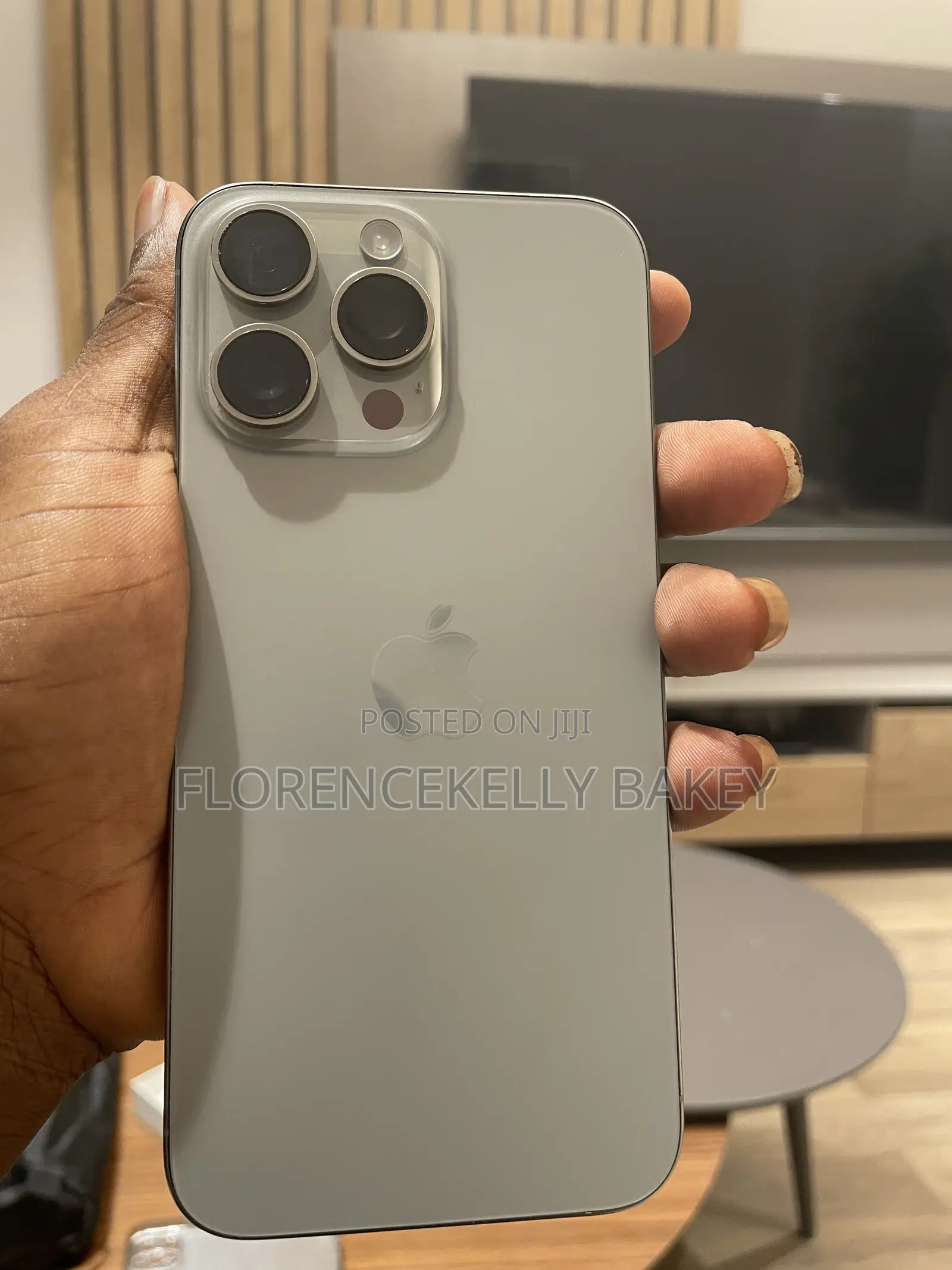 Apple iPhone 15 Pro Max 256 GB Gray