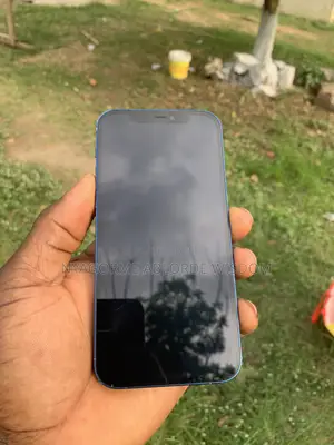 Apple iPhone 12 128 GB Blue