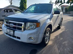 Ford Escape 2010 White