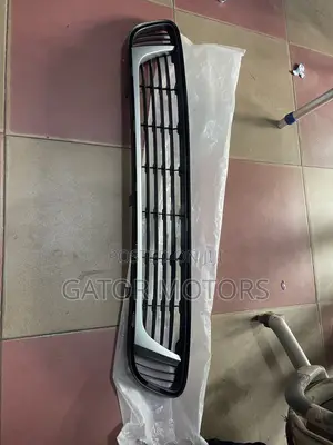Venza Down Shells Bumper Grill With Chrome