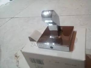 Chrome Door Hook