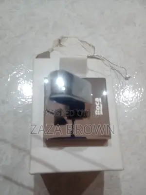 Chrome Door Hook