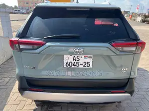 Toyota RAV4 XLE AWD 2020 Gray