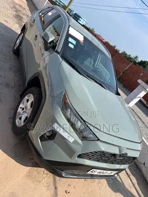 Toyota RAV4 XLE AWD 2020 Gray