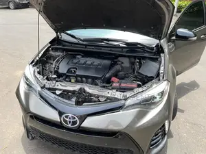 Toyota Corolla SE (1.8L 4cyl 6M) 2019 Gray