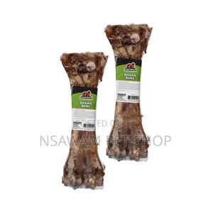Femur Bone Shank Bone