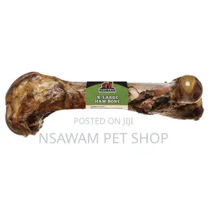 Femur Bone Shank Bone