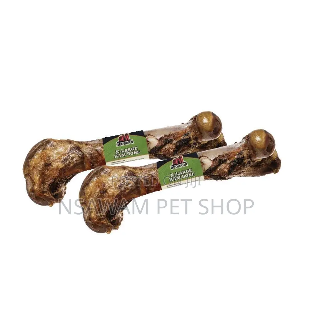 Femur Bone Shank Bone