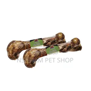 Femur Bone Shank Bone