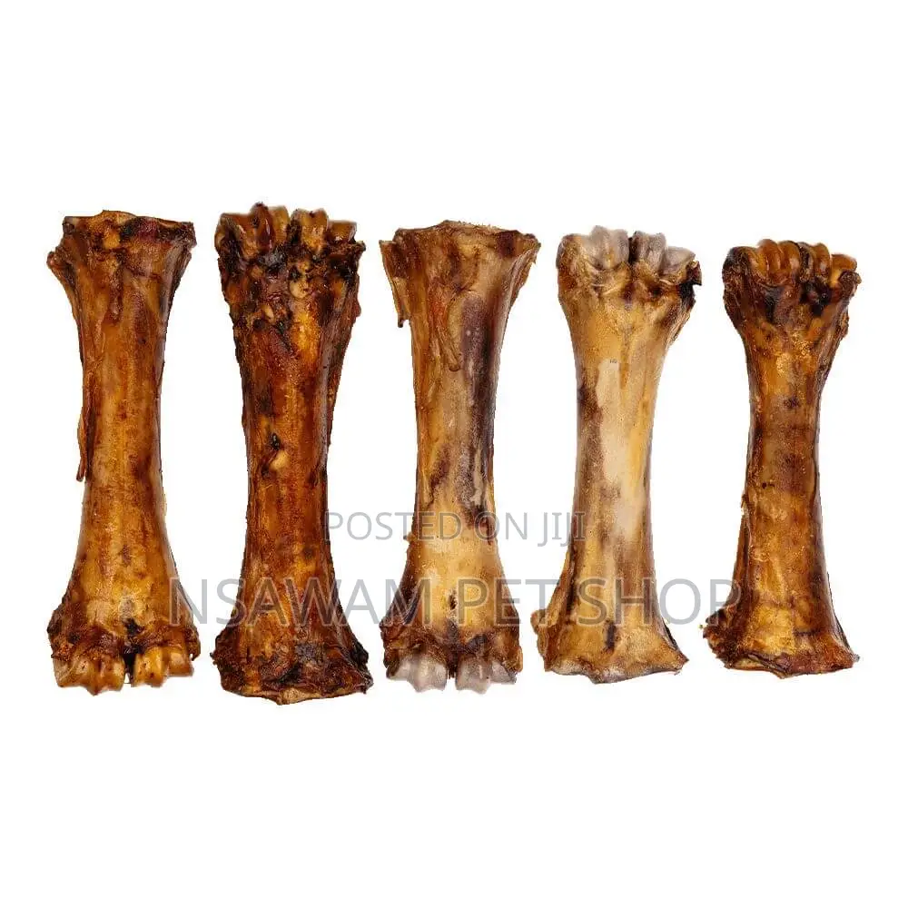 Femur Bone Shank Bone