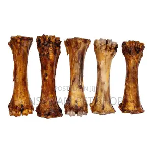 Femur Bone Shank Bone